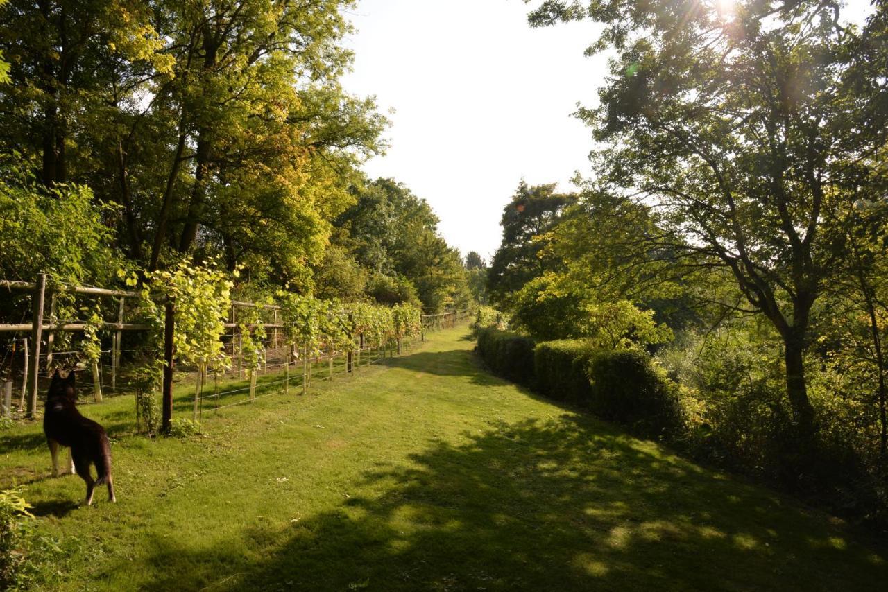 Thatchcombe B&B 원티지 외부 사진